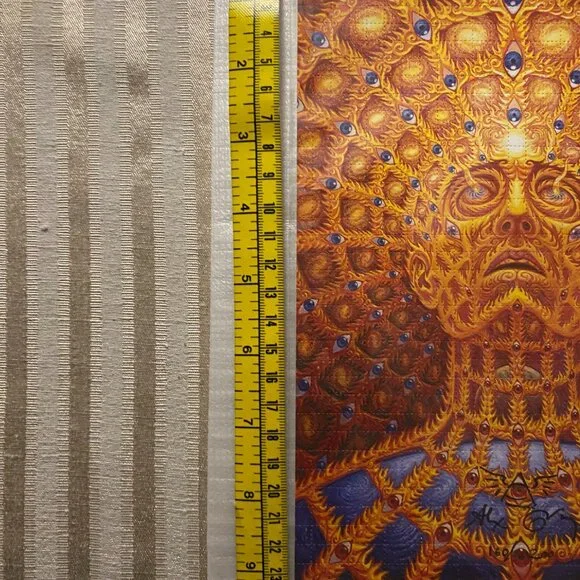 ALEX GREY OVERSOUL PRINT #160/200 SIGNED (taking offers) - Picture 6 of 13